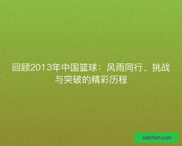 回顾2013年中国篮球：风雨同行、挑战与突破的精彩历程
